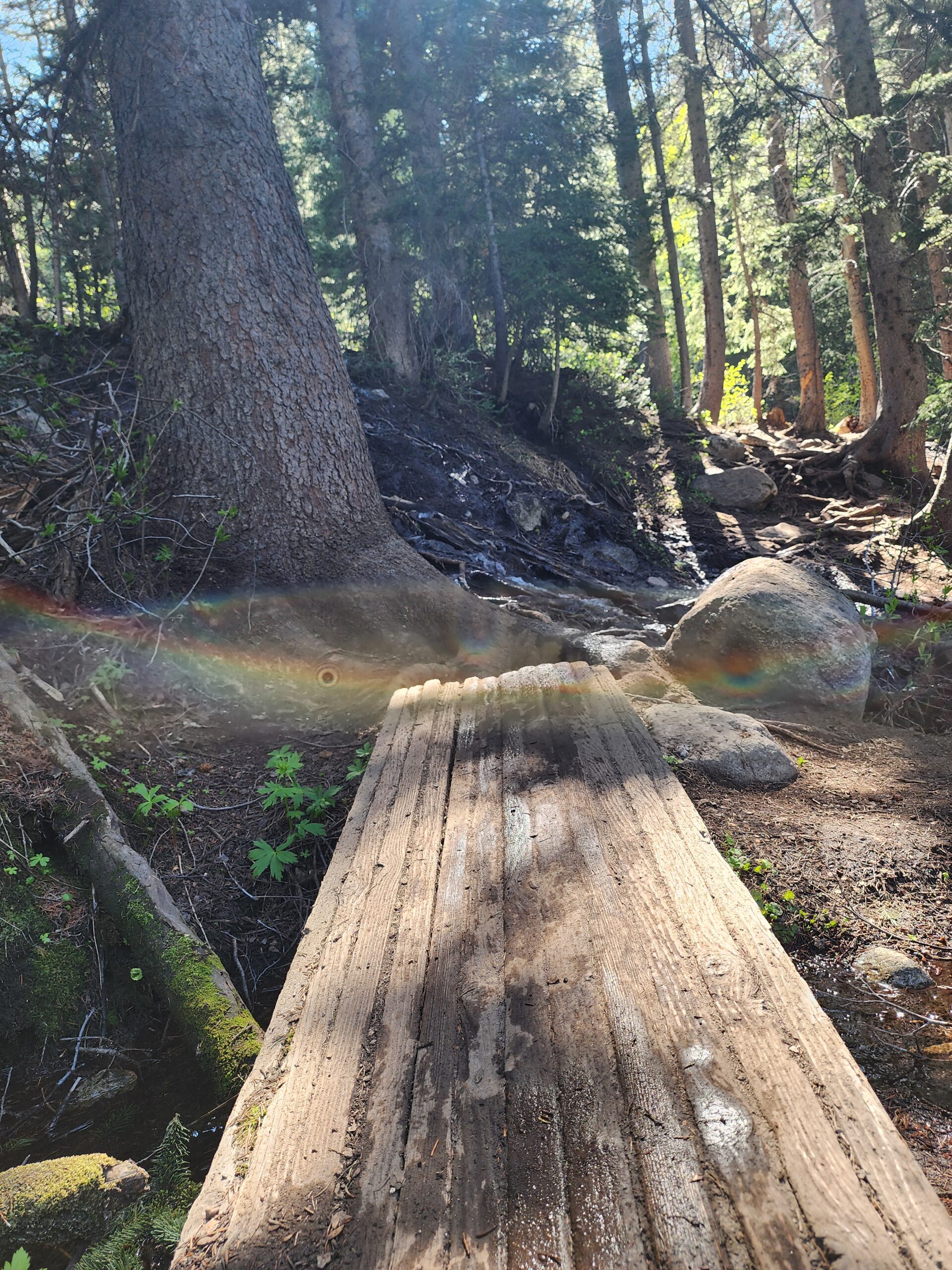 Wooden Bridge