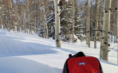 Gear We Take on Early Winter Hikes