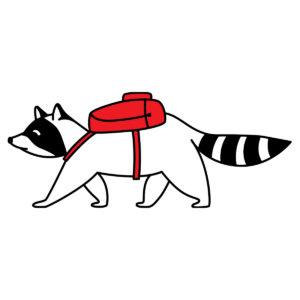 Bandit Bumper Sticker