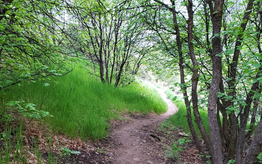 What We Leave Behind on Most Hikes