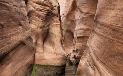 Zebra Canyon, Escalante, UT